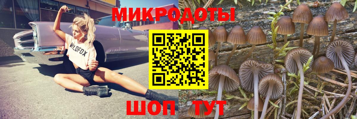Псилоцибиновые грибы ЛСД Верхняя Салда